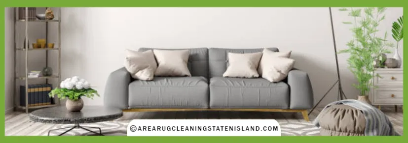 Professional Upholstery Cleaning Process